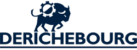 Our client’s logo: Derichebourg