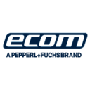 Our client’s logo: Ecom-ex