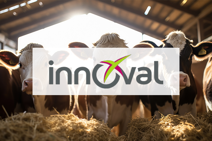 Visuel Innoval